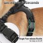 rabbitgoo Dog Harness No Pull, Adjustable Dog Walking Harness with 2 Metal Clips & Shock-Absorbing Bungee Straps, Soft Padded Pet Vest Chest Harness Reflective with Handle for Medium Dogs (Black, M)
