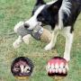 WINSHIDEN Interactive Dog Plush Toys, Squeaky Toys for Large Dogs, Durable Stuffed Toys with Cotton Material&Crinkle Paper, Chewing Teeth Health Toys for Large&Small Dogs