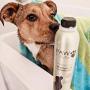 Pawfume Premium Shampoo and Conditioner - 12oz (Show Dog)