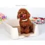 DAN Dog Toilet, Portable Plastic Toilet Indoor Dog Toilet with Fenced Medium/Large DAN Dog Toilet, Portable Plastic Toilet Indoor Dog Toilet with Fenced Medium/Large