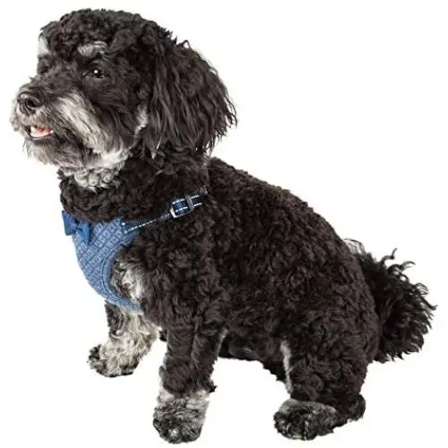 Pet Life Flam-Bowyant Mesh Reversible And Breathable Adjustable Dog Harness W/ Designer Bowtie Pet Life Flam-Bowyant Mesh Reversible And Breathable Adjustable Dog Harness W/ Designer Bowtie