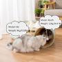 WSXG Cat Tunnel, Cat Play Tunnel, 2 in 1 Cat Tube Toy with Scratching Ball Mate House Can Play Or Rest Suitable for Pets Under 15Kg / 33Lbs