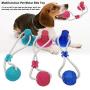 SiNetGuy Multifunction Pet Molar Bite Toy Dog Chew Toys, Self-Playing Rubber Ball Toy with Suction Cup Molar Chew Toy Cleaning Teeth