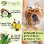 Wholistic Pet Organics Pet Shampoo Concentrate: Heavenly Herbal Organic Dog Shampoo and Conditioner - All Natural Puppy and Cat Shampoo for Dry, Itchy Skin, Allergies, Dandruff - Flea Shampoo - 16 Oz