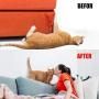 Petslucent Cat Scratch Deterrent Sticky Paws Tape, Cat Training Tape Anti Scratching Furniture Protector, Double Sided Guards for Carpet, Sofa, Couch, Door