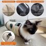 Petest Collapsible Cat Tunnel Pet Play Tube Crinkle Tunnel with Cat Toys