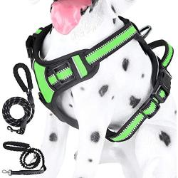 Texbee No Pull Dog Harness with 2 Dog Leashs, Adjustable Reflective Breathable Oxford Dog Vest Harness with Handle and 2 Leash Clips for Large Medium Small Dogs, Easy Walking