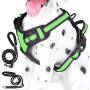 Texbee No Pull Dog Harness with 2 Dog Leashs, Adjustable Reflective Breathable Oxford Dog Vest Harness with Handle and 2 Leash Clips for Large Medium Small Dogs, Easy Walking