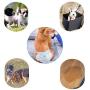 Warbriie Disposable Female Dog Diapers, Super Absorbent Leak-Proof Pet Care Wraps, Comfortable & Soft Heating Pee Pet Diapers for Female Puppy Dogs - 10 Count Warbriie Disposable Female Dog Diapers, Super Absorbent Leak-Proof Pet Care Wraps, Comfortable & Soft Heating Pee Pet Diapers for Female Puppy Dogs - 10 Count