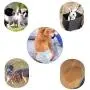 Warbriie Disposable Female Dog Diapers, Super Absorbent Leak-Proof Pet Care Wraps, Comfortable & Soft Heating Pee Pet Diapers for Female Puppy Dogs - 10 Count