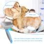Self Cleaning Slicker Brush, Retractable Pet Grooming Brush with Steel Dog Comb, Effectively Removes Loose Hair, Mats and Tangles, Professional Shedding Grooming Tools for Dogs Cats (Blue)