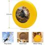 Pet Frisbee Flying Disc Dog Toy - Multifunction Warm Memories Michael Humphries
