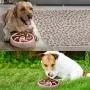Pet Dog Puppy Slow Feeder Bowl at Home Travel Echo Friendly No Chocking | Bowl for Puppies, Small to Medium Size Dogs | Not Suitable for Cats Pet Dog Puppy Slow Feeder Bowl at Home Travel Echo Friendly No Chocking | Bowl for Puppies, Small to Medium Size Dogs | Not Suitable for Cats