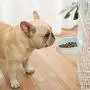 Andiker Cat Crate Hanging Slow Feeding Bowl, Removable Cat Cage Bowls with Bolt Holder Cat Slow Feed Bowl, Cat Puzzle Bowl to Keep Fit Slow Eating Cat Food Bowl for Small Puppy or Kitten Andiker Cat Crate Hanging Slow Feeding Bowl, Removable Cat Cage Bowls with Bolt Holder Cat Slow Feed Bowl, Cat Puzzle Bowl to Keep Fit Slow Eating Cat Food Bowl for Small Puppy or Kitten