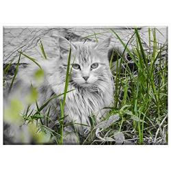 Triple Blank Wall Plate Cover - Cat Feline Look Pet Kitten Gata Animals Feline