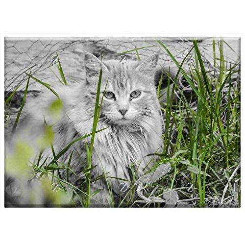 Triple Blank Wall Plate Cover - Cat Feline Look Pet Kitten Gata Animals Feline