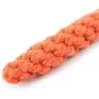 LKXHarleya Carrot Puppy Chew Toys Teething Small Dog Braided Braided Pet Toys for Aggressive Chewers,Long 22cm LKXHarleya Carrot Puppy Chew Toys Teething Small Dog Braided Braided Pet Toys for Aggressive Chewers,Long 22cm