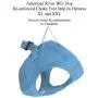 DOGGIE DESIGN Choke Free Reflective Step in Ultra Harness Sky Blue American River DOGGIE DESIGN Choke Free Reflective Step in Ultra Harness Sky Blue American River