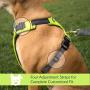 Tuff Mutt - Easy On/Easy Off Dog Harness, Medium & Large Breeds, Walk, Run & Hike with Confidence, Stay Safe with Bright Reflective Stitching, Two Secure Attachment Points