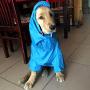 Alfie Pet - Bella Rainy Days Waterproof Raincoat (for Dogs and Cats)