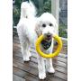 MASKOTA Dog Toys Flying Disc Ball & Rubber Ring