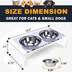 ZEXPRO Acrylic Elevated Pet Bowls - Raised Clear Feeding Stand for Cats and Small Dogs - 2 Stainless Steel Food Container No Splash, Spill, Messy Floors Feed Pedestal