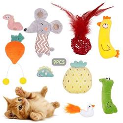 Catnip Cat Toys for Indoor Cats, 9 Pack Interactive Cat Toy with Crinkle, Squeaky, Rattle Sound, Kitten Stuffed Animal Cat Toy Set Assorted Plush Pet Toys, Cat Chew Toy for Chewing, Hunting, Teething