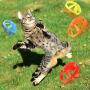 Sumind 18 Pieces Cat Fetch Toy Cat Tracking Toy Cat Interactive Toys with 5 Colors Flying Propellers for Pet Cat Kitty Training Chasing