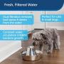 PetSafe Stainless Steel Cat and Dog Water Fountain - Seaside 60 oz or 360 Multi-Pet 128 oz Drinking Fountain