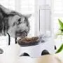 MILIFUN Double Dog Cat Bowls - Pets Water and Food Bowl Set, 15°Tilted Water and Food Bowl Set with Automatic Waterer Bottle for Small or Medium Size Dogs Cats MILIFUN Double Dog Cat Bowls - Pets Water and Food Bowl Set, 15°Tilted Water and Food Bowl Set with Automatic Waterer Bottle for Small or Medium Size Dogs Cats