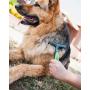 Pet Magasin Professional Grooming Brushes (Pack of 3) Double Sided Brush, Long Tooth Undercoat Dog Rake & De-Matting Comb for Dogs, Cats & Other Animals, Green & Black (DogBrushesTop)