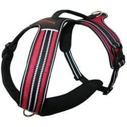 Voyager by Best Pet Supplies Adventure No Pull Harness for Dogs w/ Two Leash Attachment Rings - Extra Padded Vest- Heavy Duty Design- Reflective Walking Harnesses- Great Pet Training Tool- Best Dog Lover Gifts
