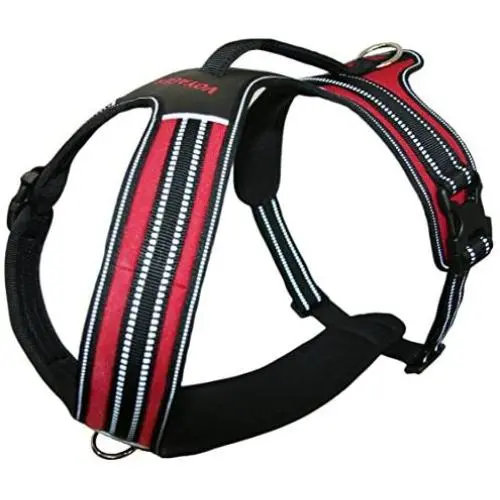 Voyager by Best Pet Supplies Adventure No Pull Harness for Dogs w/ Two Leash Attachment Rings - Extra Padded Vest- Heavy Duty Design- Reflective Walking Harnesses- Great Pet Training Tool- Best Dog Lover Gifts Voyager by Best Pet Supplies Adventure No Pull Harness for Dogs w/ Two Leash Attachment Rings - Extra Padded Vest- Heavy Duty Design- Reflective Walking Harnesses- Great Pet Training Tool- Best Dog Lover Gifts