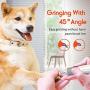 DamKee Dog Nail Grinder Stepless Speed Dog Nail Clippers Electric Paw Trimmer Rechargeable Powerful Painless Paws Grooming Trimming Shaping Smoothing Perfect for Dogs Cats