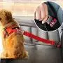 Pet Pet Dog Cat Car Seat Belt Adjustable Harness Seatbelt Lead Leash for Small Medium Dogs Travel Clip Safety Dog Leash 12 Color (Color : Sky Blue)