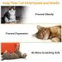 Domgoopet Interactive Cat Toys Ball, Self Rotating Cat Toy, Newest Version USB Rechargeable Pet Toy,Buit-in Spinning LED Light, Stimulate Hunting Instinct for Your Cat/Kitty/Kitten/Pets