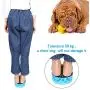 Ordermore Acrylic Dog Bowl with Rubber Base for Small/Medium Dogs,Non-Skid Deep Dog Bowl,Anti-bite Pet Feeder Bowl and Water Bowl,Holds 36 Ounce,Blue Ordermore Acrylic Dog Bowl with Rubber Base for Small/Medium Dogs,Non-Skid Deep Dog Bowl,Anti-bite Pet Feeder Bowl and Water Bowl,Holds 36 Ounce,Blue