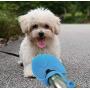 Dog Water Bottle, Stainless Steel Dog Water Dispenser, Portable Dog Water Bottle for Walking, Hiking, Running, Travel Dog Water Bottle, Easy to Use (Blue)