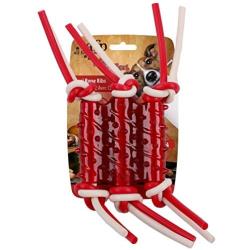 ALL FOR PAWS BBQ TPR Rope Ribs Dog Toy