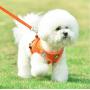 Zhongde No Pull Dog Harness and Leash Set for Small Medium Large Dogs, Adjustable Step in Pet Vest, Easy Control Breathable Mesh Harnesses with Reflective Straps