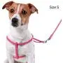 CollarDirect Rolled Leather Dog Harness Small Puppy Step-in Leash Set for Walking Pink Red White Blue Green Black Purple Beige Brown Yellow CollarDirect Rolled Leather Dog Harness Small Puppy Step-in Leash Set for Walking Pink Red White Blue Green Black Purple Beige Brown Yellow
