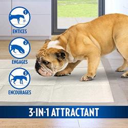 OUT! Heavy Duty XXL Dog Pads | Absorbent Pet Training and Puppy Pads | 30 Pads | 26 x 30 Inches