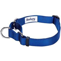 Blueberry Pet Essentials 21 Colors Safety Training Martingale Dog Collars, Personalized Martingale Dog Collars