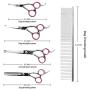 Pet Grooming Scissors Kit - Cat Dog Grooming Scissors - 5 PCS( For Trimming Body, Face, Ear, Nose, Paw) , Sharp Shears with Safety Rounded Tips for Small, Medium & Large Pets ( Include Grooming Comb )