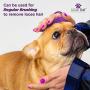 Lillian Ruff Brightening & Whitening Shampoo for Dogs – Tear Free Coconut Scent with Aloe for Dry & Sensitive Skin – Adds Shine & Luster to Coats