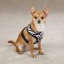 Zack & Zoey Zebra or Leopard Print Soft Plush Dog Harness Durable Reliable Walk Safety