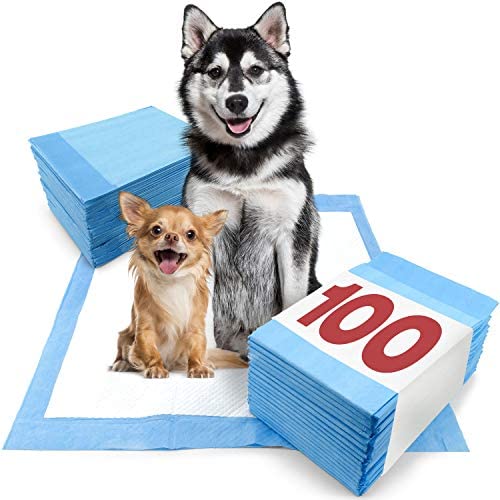 ValuePad New Puppy Pads, XXL Gigantic 28x44 Inch, 100 Count - Economy Training Pads for Dogs, Leak Resistant 5-Layer Design
