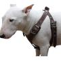 Brown Genuine Leather Dog Harness, Medium. 25''-30'' Chest, 1'' Wide Adjustable Straps