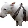 Brown Genuine Leather Dog Harness, Medium. 25''-30'' Chest, 1'' Wide Adjustable Straps Brown Genuine Leather Dog Harness, Medium. 25''-30'' Chest, 1'' Wide Adjustable Straps