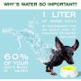 Petriz Dog Water Bowl No Spill Water Bowl for Dogs Floating Bowl Dog Dripless Water Bowl Slow Down Water Feeder Spill Proof Anti Splash for Pets/Cats